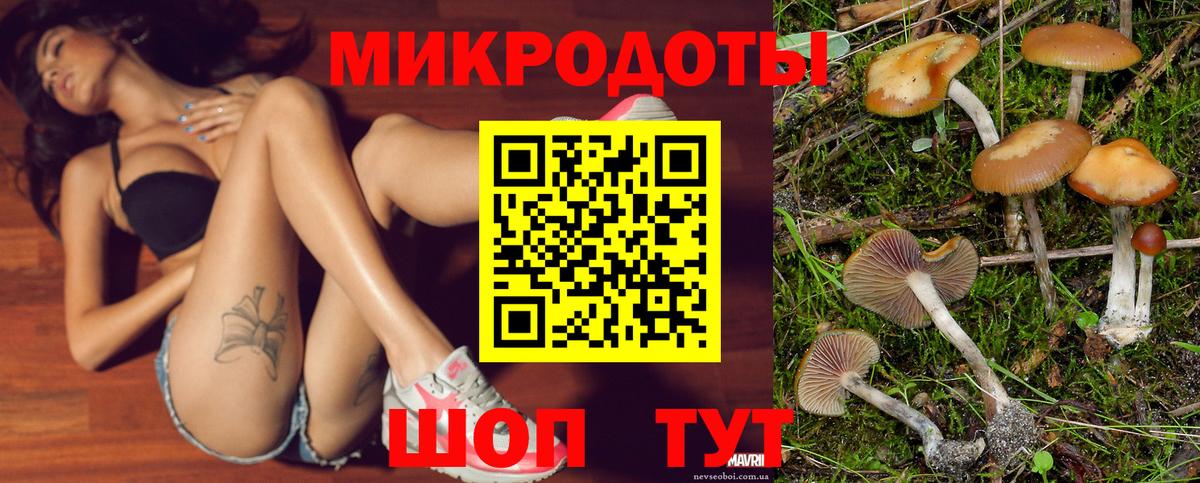 Знаменск  как найти закладки  Вход с VPN  Псилоцибиновые грибы прущие грибы 