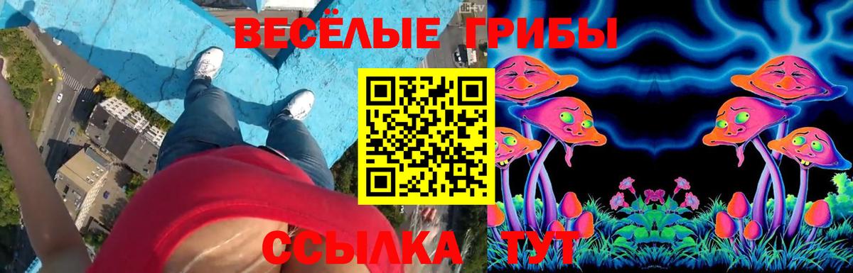 Галлюциногенные грибы Magic Shrooms Знаменск